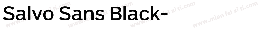 Salvo Sans Black字体转换